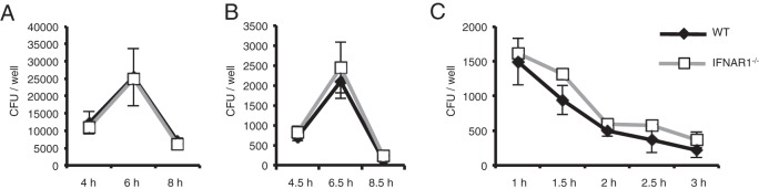 FIG 3