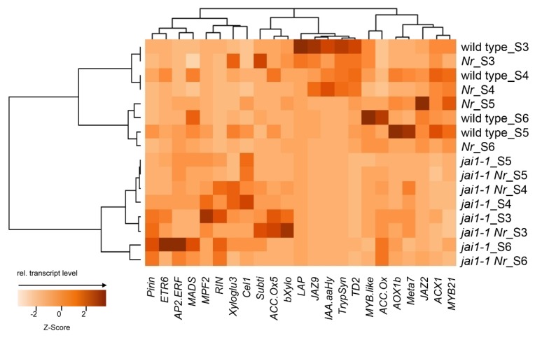 Figure 5