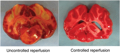 Figure 6: