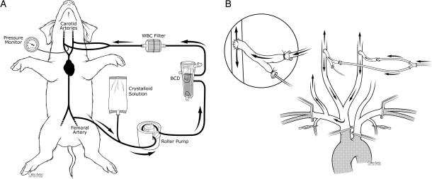 Figure 1: