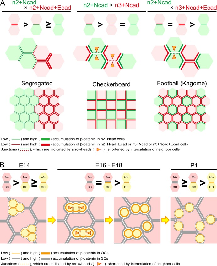 Figure 9.