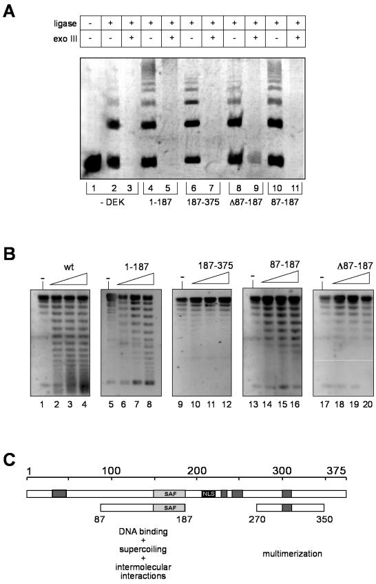 FIG. 5.