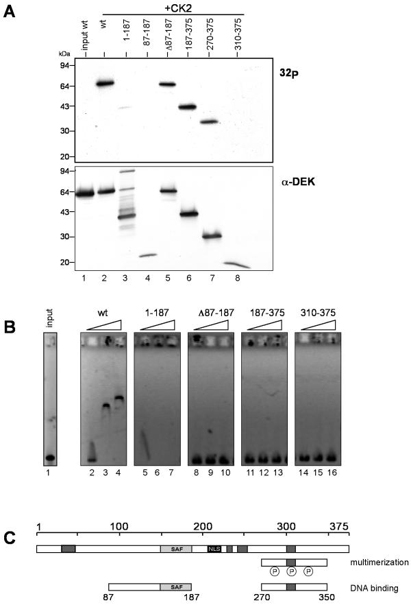 FIG. 7.