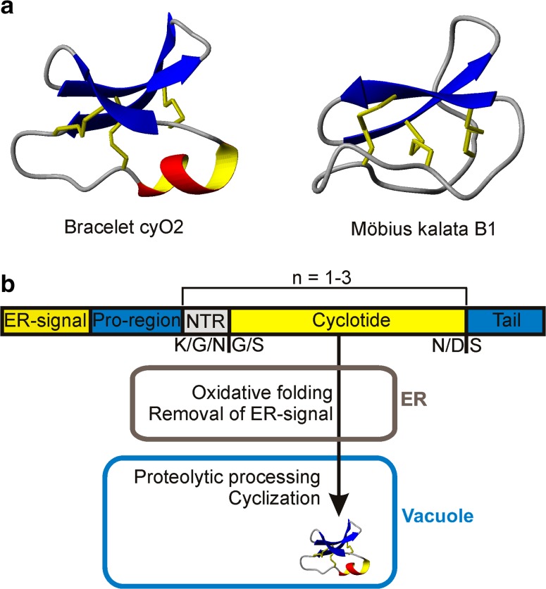 Fig. 1