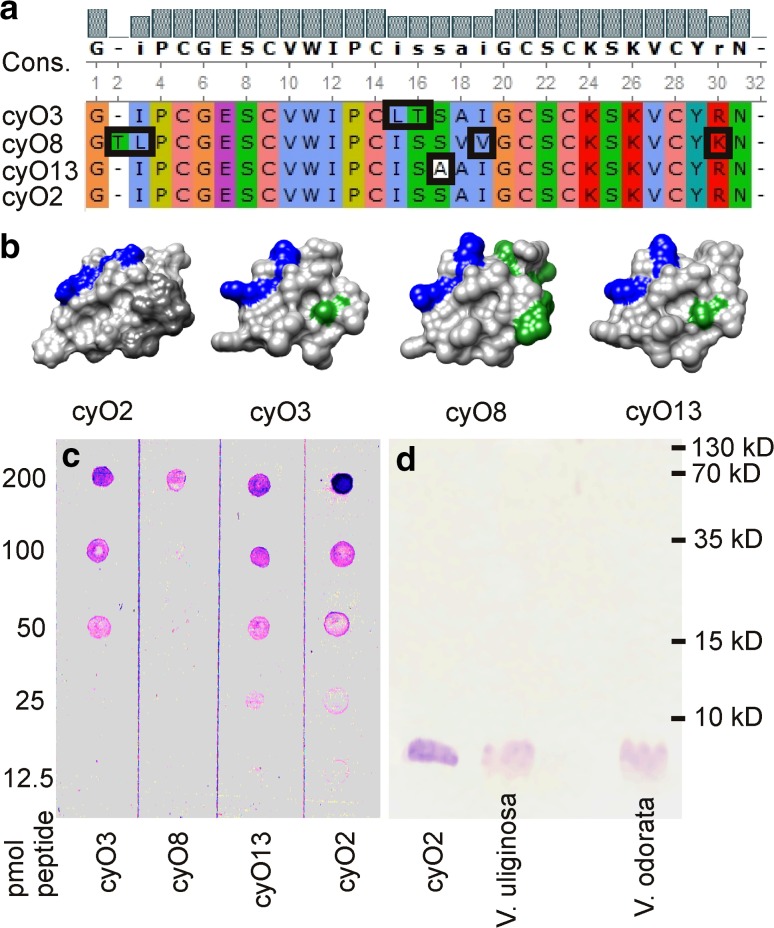 Fig. 2