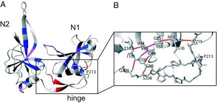 Fig. 4.