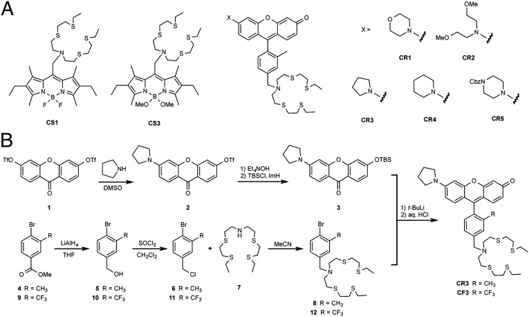 Fig. 1.