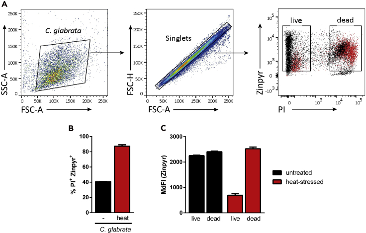 Figure 2