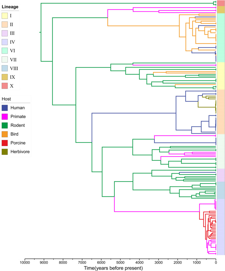 Fig. 6.