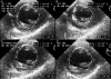 Figure 2)