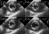 Figure 3)