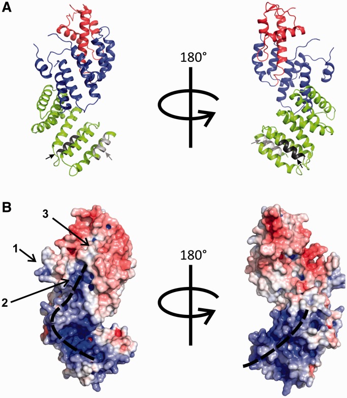 Figure 7.