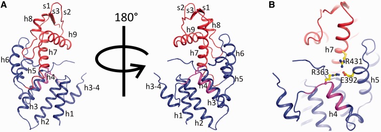 Figure 3.