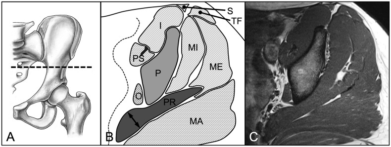 Fig. 3.