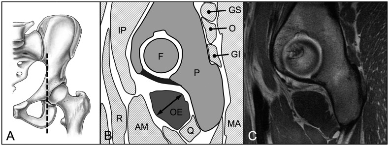 Fig. 8.