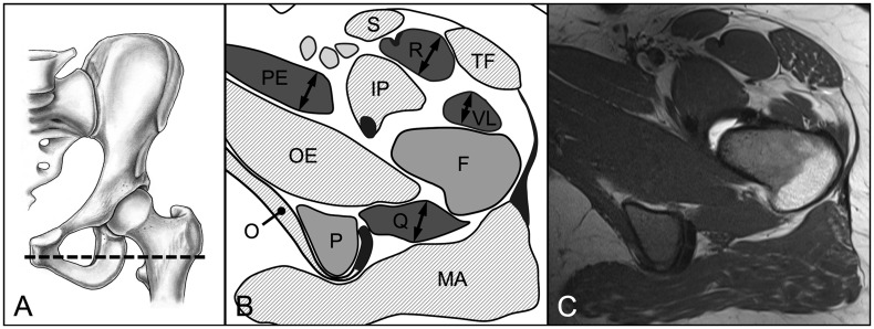 Fig. 6.