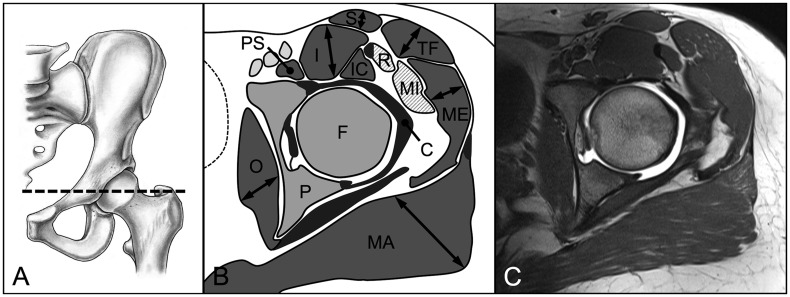 Fig. 5.