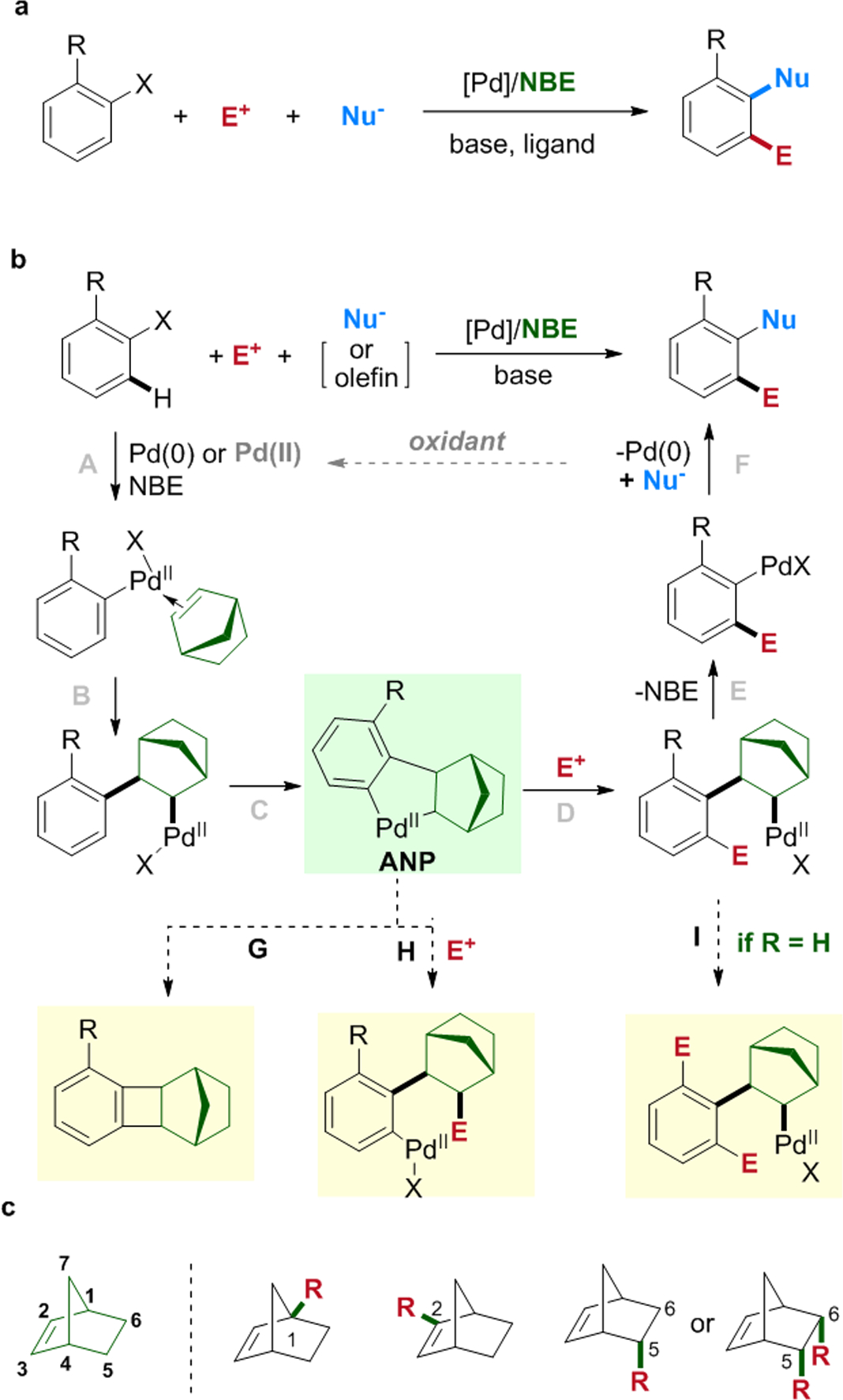 Scheme 1.