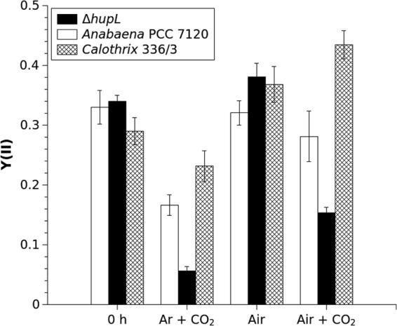 FIG 6