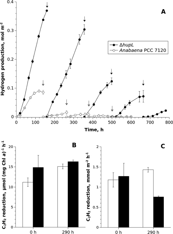 FIG 1