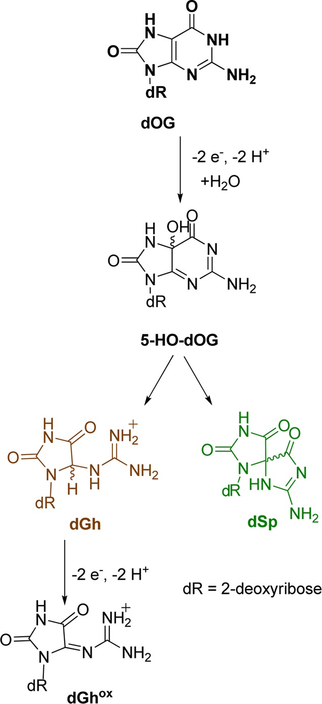 Scheme 3