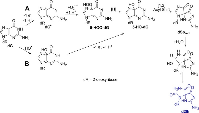 Scheme 5