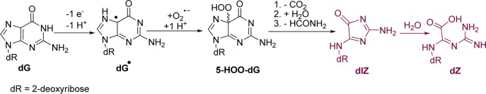 Scheme 4