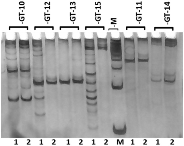 Figure 7