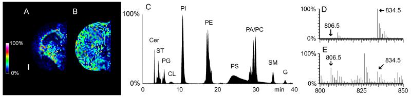 Fig. 4