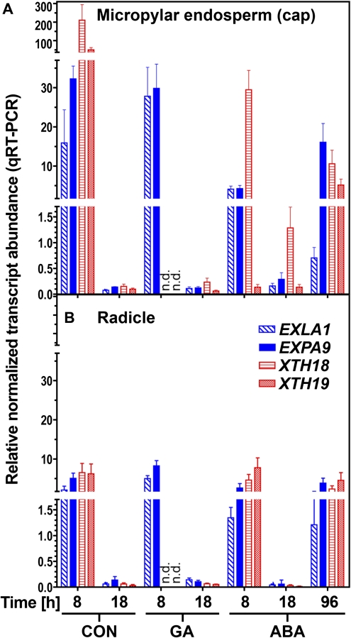 Fig. 6.