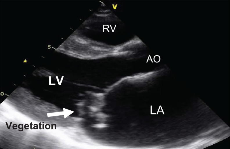 Figure 2.