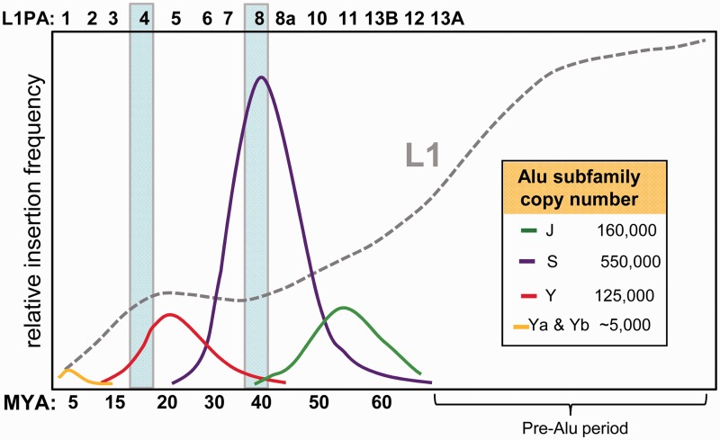 Fig.
1.