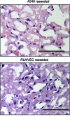<b>FIG. 6.</b>