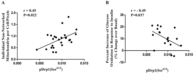 Figure 5: