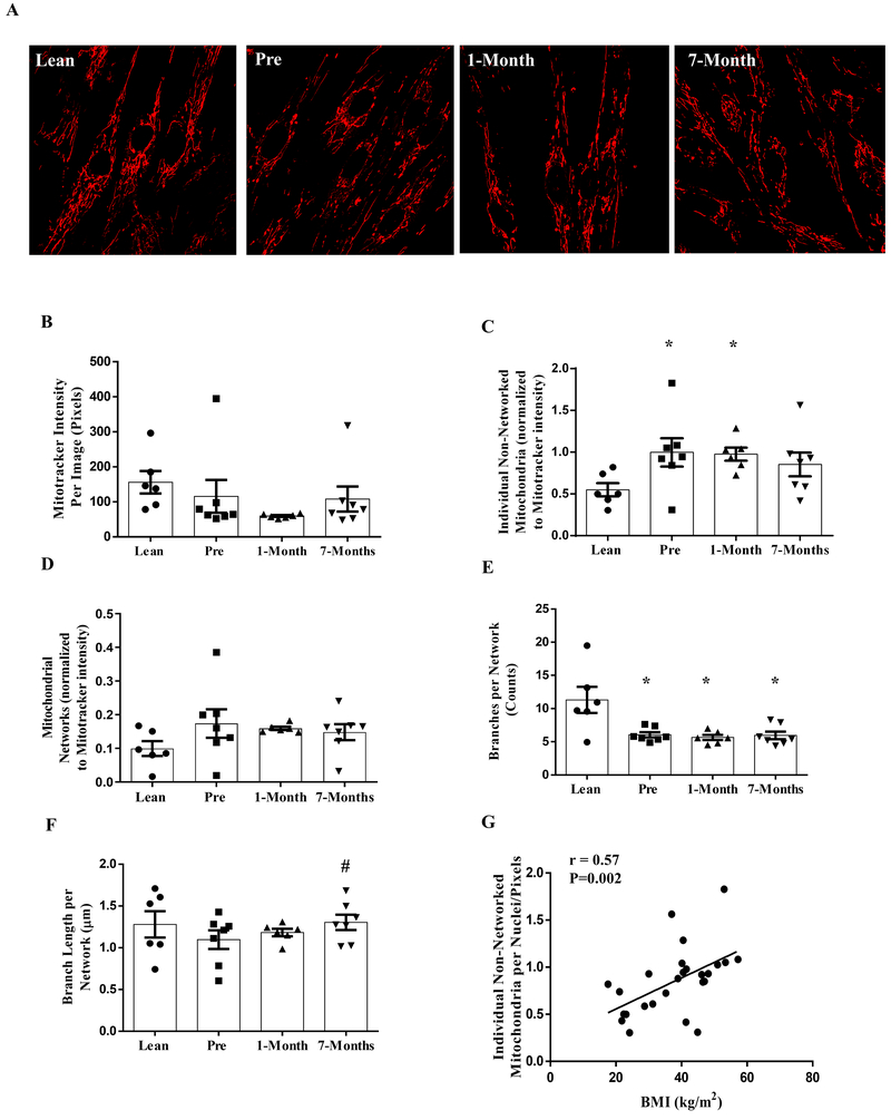 Figure 3: