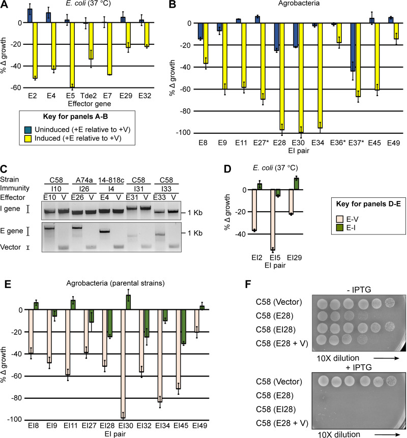 FIG 3