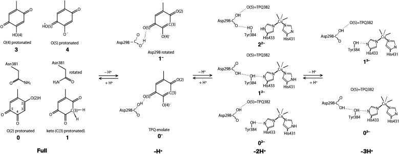 Fig. 3