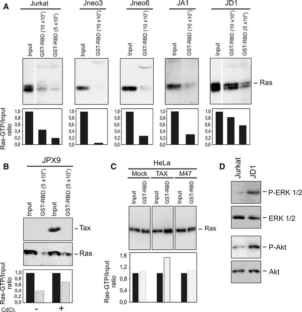 Fig. 4