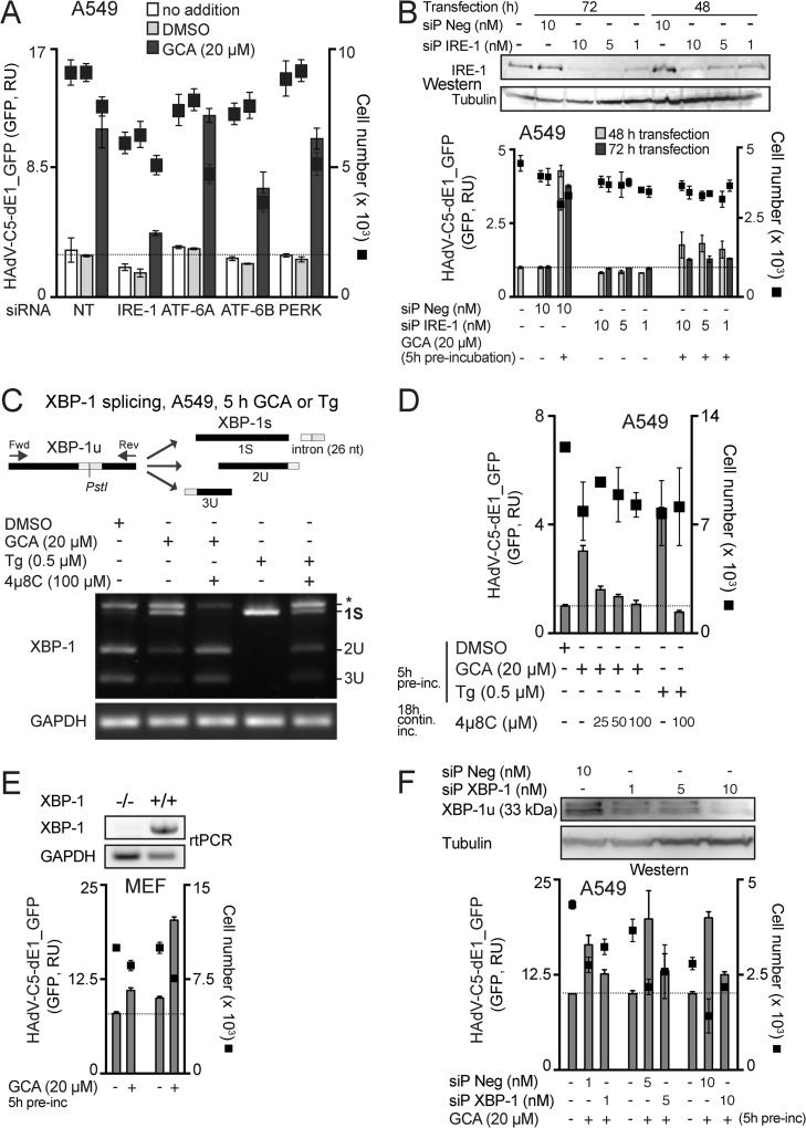 FIG 6