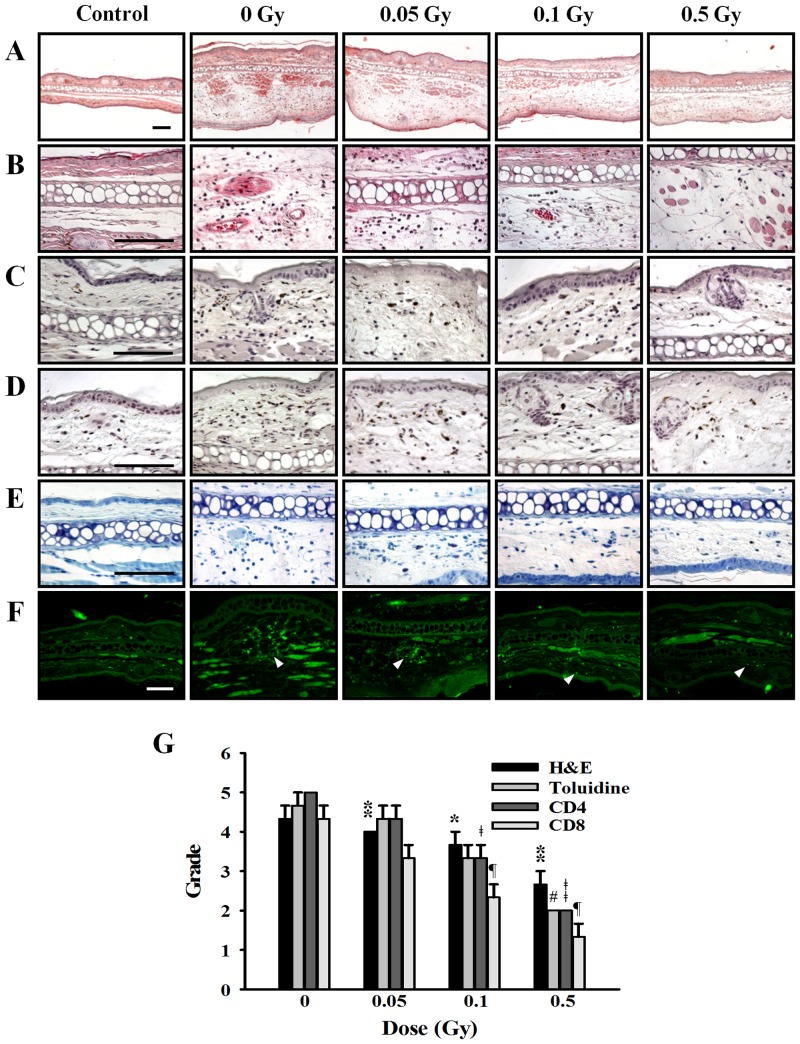 Fig 9