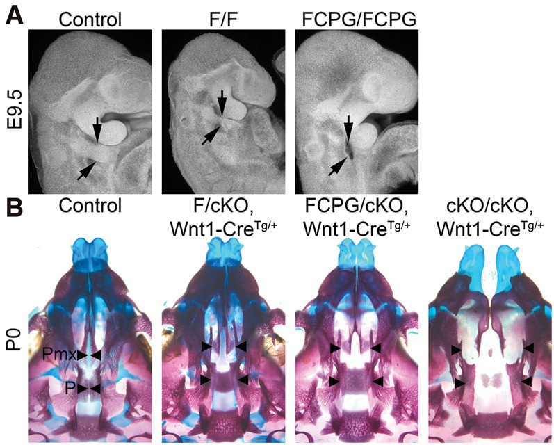 Figure 6.