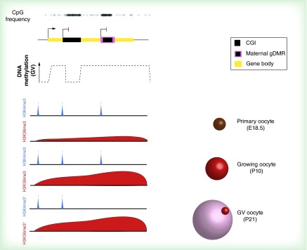 Figure 3. 