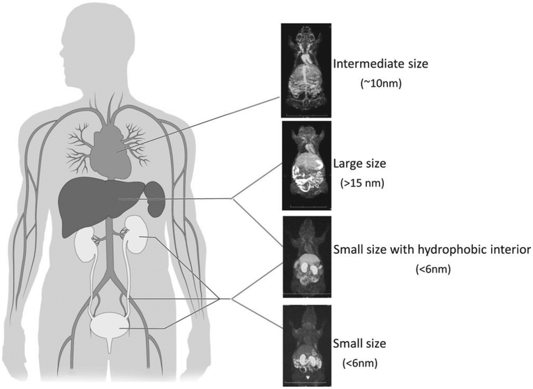 FIGURE 3 |