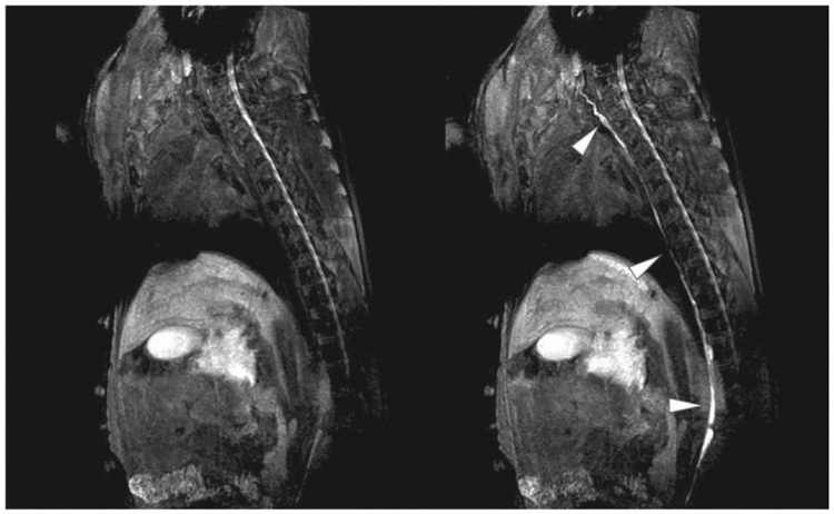 FIGURE 4 |