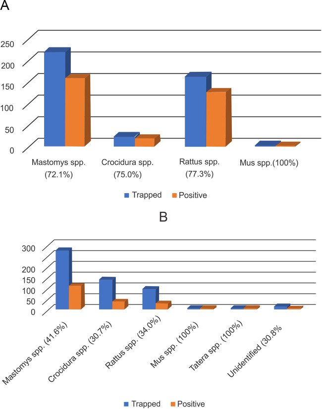 FIG 2