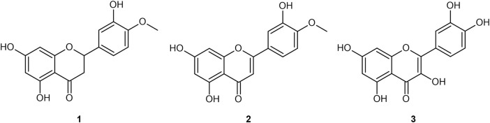 FIGURE 1