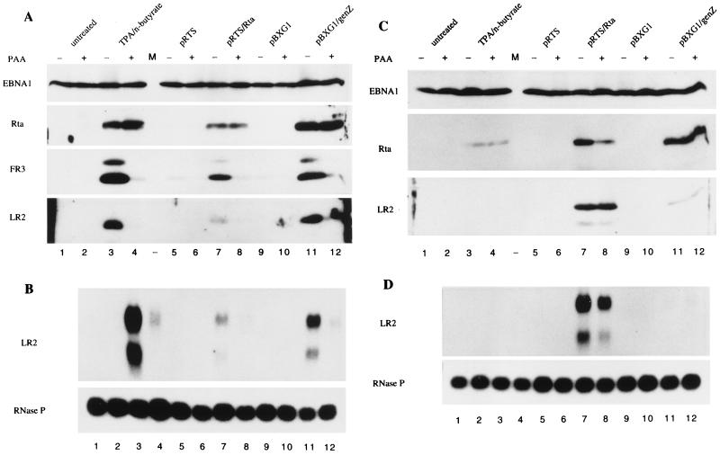 FIG. 7