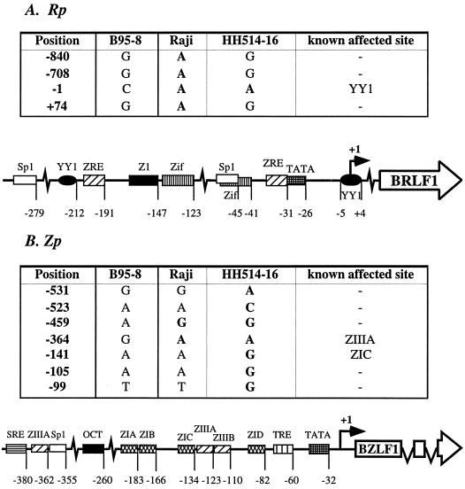 FIG. 5