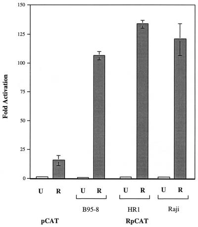 FIG. 6