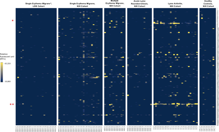 Heatmap displays RFU levels across different cohorts. Cohorts include single and multiple erythema migrans, acute Lyme neuroborreliosis, Lyme arthritis, and healthy controls. Asterisks mark specific rows on the left.